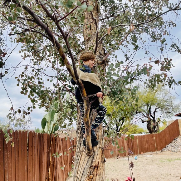 ... - Picture 6 of 12